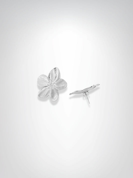 Boucles d'oreilles | Eclat d'argent Argentée